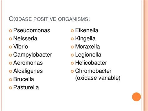 e.coli oxidase test|oxidase positive bacteria list.